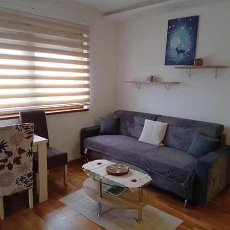 Iva Apartman Zlatibor Kültér fotó