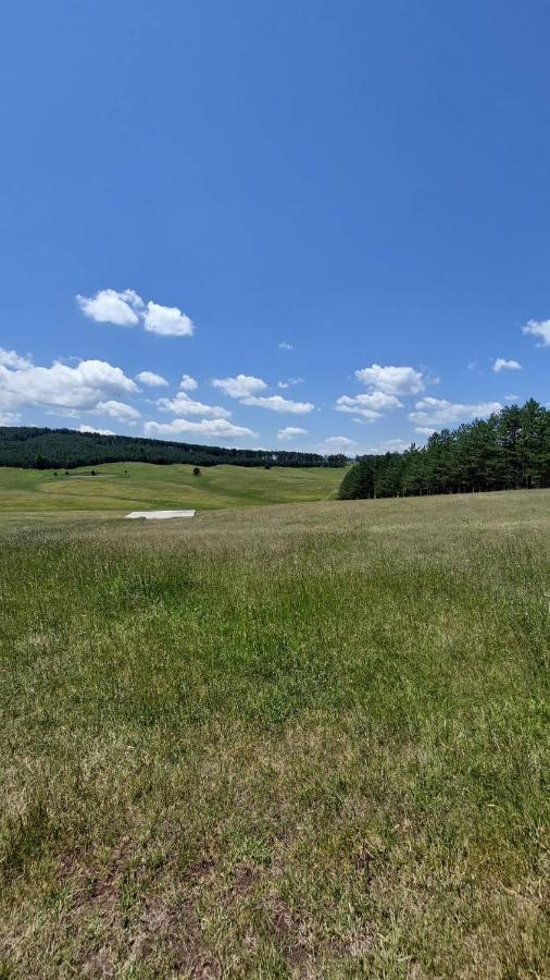 Iva Apartman Zlatibor Kültér fotó