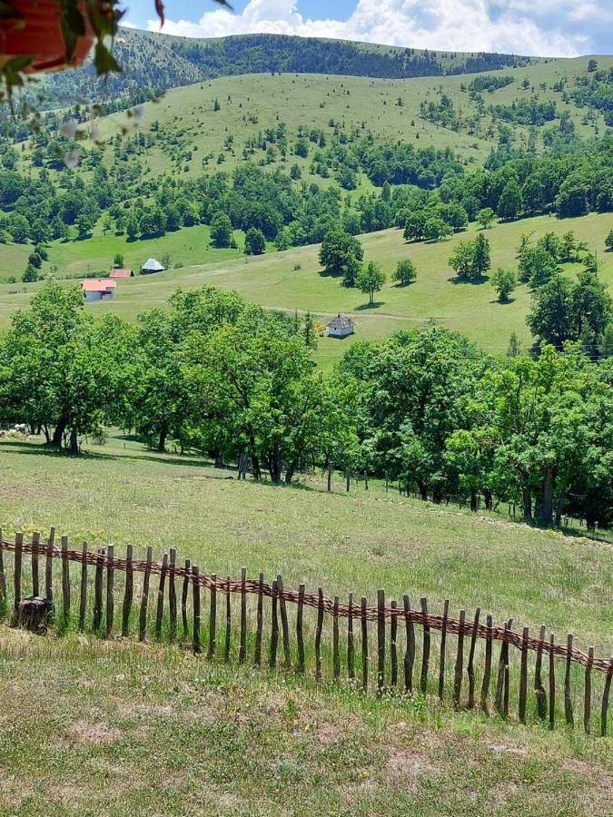 Iva Apartman Zlatibor Kültér fotó