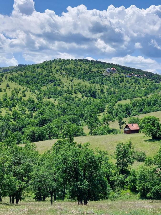 Iva Apartman Zlatibor Kültér fotó