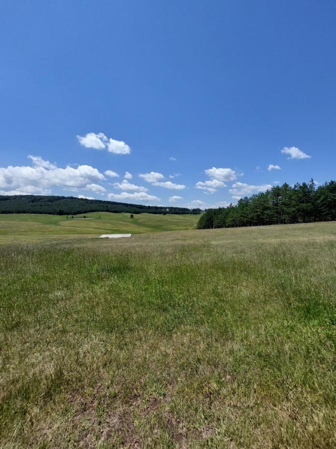 Iva Apartman Zlatibor Kültér fotó